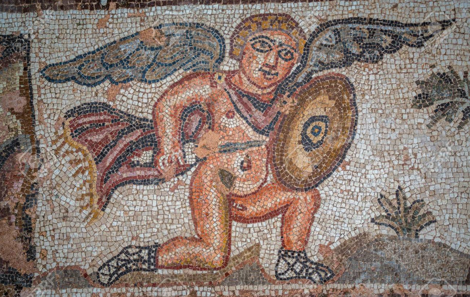 Visit Paphos Mosaics in a taxi in Paphos